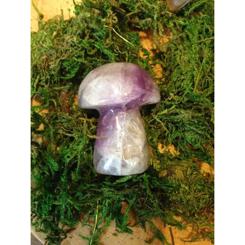 Fluorite Crystal Quartz Mushroom Carving
